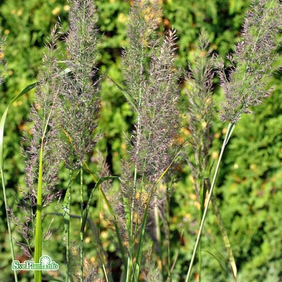 Diamantrör Diamantrör